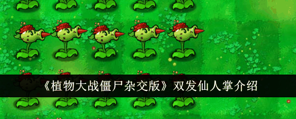 《植物大战僵尸杂交版》双发仙人掌介绍插图 《植物大战僵尸杂交版》双发仙人掌介绍