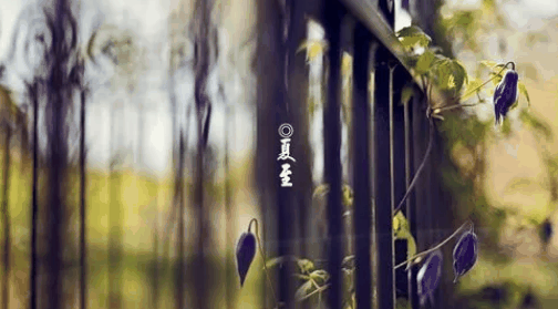 2024年夏至过后还会冷吗?夏至过后天气有什么变化