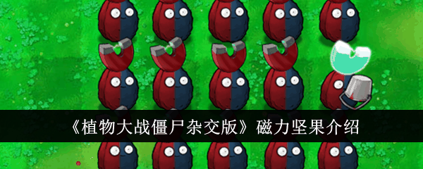 《植物大战僵尸杂交版》磁力坚果介绍插图 《植物大战僵尸杂交版》磁力坚果介绍