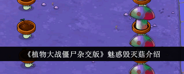 《植物大战僵尸杂交版》魅惑毁灭菇介绍插图 《植物大战僵尸杂交版》魅惑毁灭菇介绍
