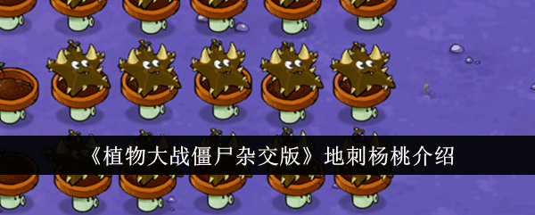 《植物大战僵尸杂交版》地刺杨桃介绍插图 《植物大战僵尸杂交版》地刺杨桃介绍