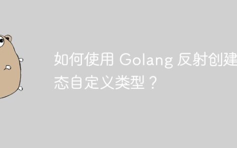 如何使用 Golang 反射创建动态自定义类型？