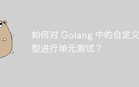 如何对 Golang 中的自定义类型进行单元测试？