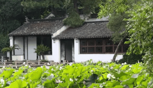 2024年苏州夏天温度最高能达到多少度?苏州夏天什么时候温度最高