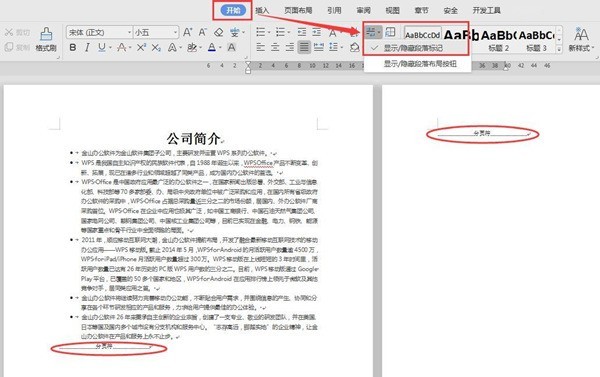 WPS文档怎么删除多余的空白页 WPS文档删除多余空白页的方法插图1 WPS文档怎么删除多余的空白页 WPS文档删除多余空白页的方法