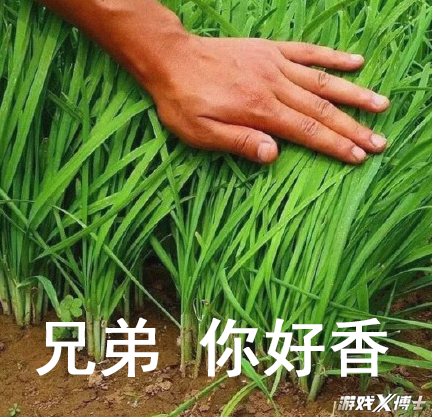 腾讯时隔八年又出手！挑战最容易翻车的品类，还能复刻火影神话吗？