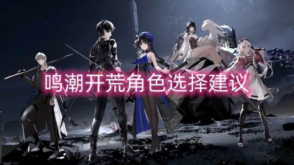鸣潮开荒角色选择建议插图 鸣潮开荒角色选择建议