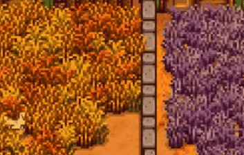 星露谷物语蓝色草籽有什么用插图 星露谷物语蓝色草籽有什么用