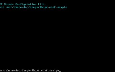 DHCP常用配置文件解析