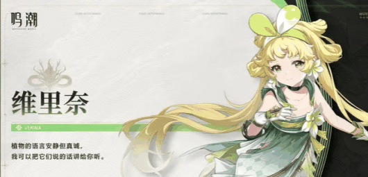 《鸣潮》鉴心最强配队阵容推荐