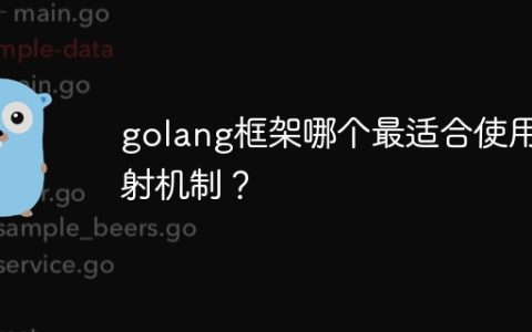 golang框架哪个最适合使用反射机制？