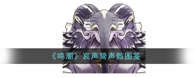 《鸣潮》哀声鸷声骸图鉴插图 《鸣潮》哀声鸷声骸图鉴