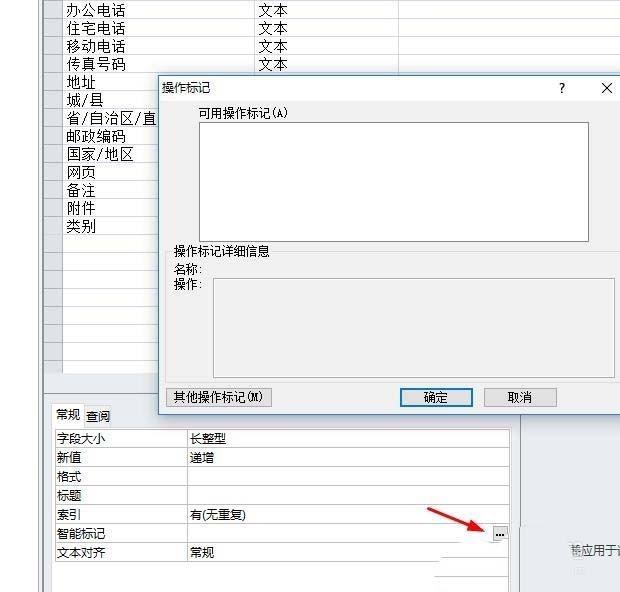access中对字段进行智能标志的操作步骤插图5 access中对字段进行智能标志的操作步骤