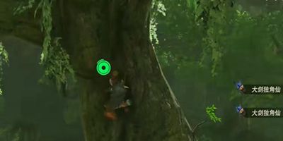 王国之泪大剑独角仙在哪