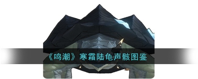 《鸣潮》寒霜陆龟声骸图鉴插图 《鸣潮》寒霜陆龟声骸图鉴