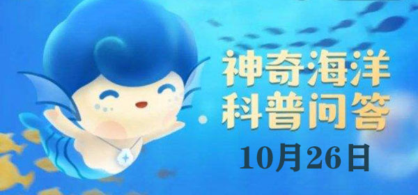 以下哪种灾害位居我国海洋灾害之首插图 以下哪种灾害位居我国海洋灾害之首