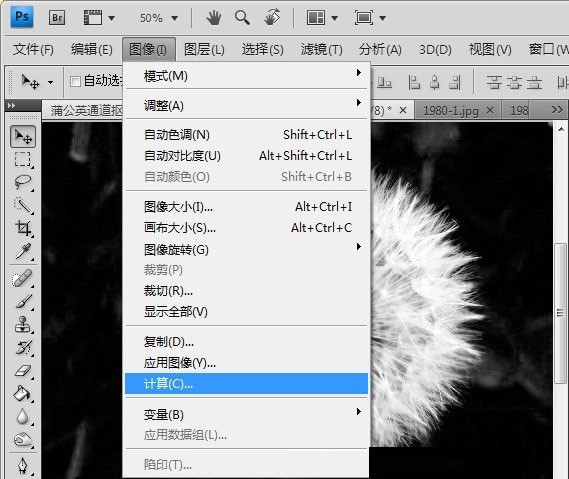 Photoshop怎么完成蒲公英抠图?Photoshop蒲公英抠图教程插图2 Photoshop怎么完成蒲公英抠图_Photoshop蒲公英抠图教程