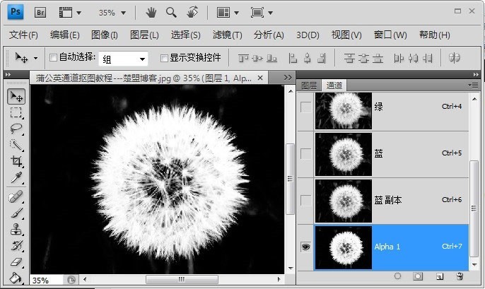 Photoshop怎么完成蒲公英抠图?Photoshop蒲公英抠图教程插图4 Photoshop怎么完成蒲公英抠图_Photoshop蒲公英抠图教程