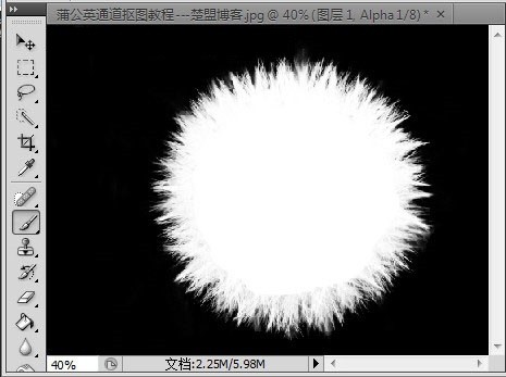 Photoshop怎么完成蒲公英抠图?Photoshop蒲公英抠图教程插图6 Photoshop怎么完成蒲公英抠图_Photoshop蒲公英抠图教程