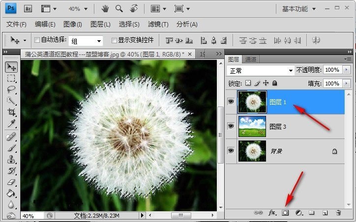 Photoshop怎么完成蒲公英抠图?Photoshop蒲公英抠图教程插图9 Photoshop怎么完成蒲公英抠图_Photoshop蒲公英抠图教程