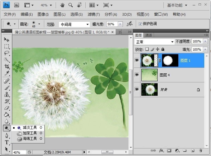 Photoshop怎么完成蒲公英抠图?Photoshop蒲公英抠图教程插图11 Photoshop怎么完成蒲公英抠图_Photoshop蒲公英抠图教程