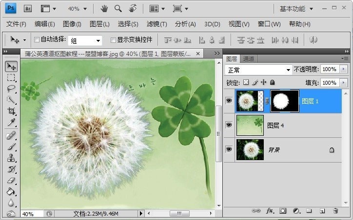 Photoshop怎么完成蒲公英抠图?Photoshop蒲公英抠图教程插图10 Photoshop怎么完成蒲公英抠图_Photoshop蒲公英抠图教程