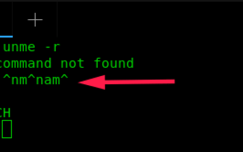 在 Linux 中纠正 Bash 命令拼写错误