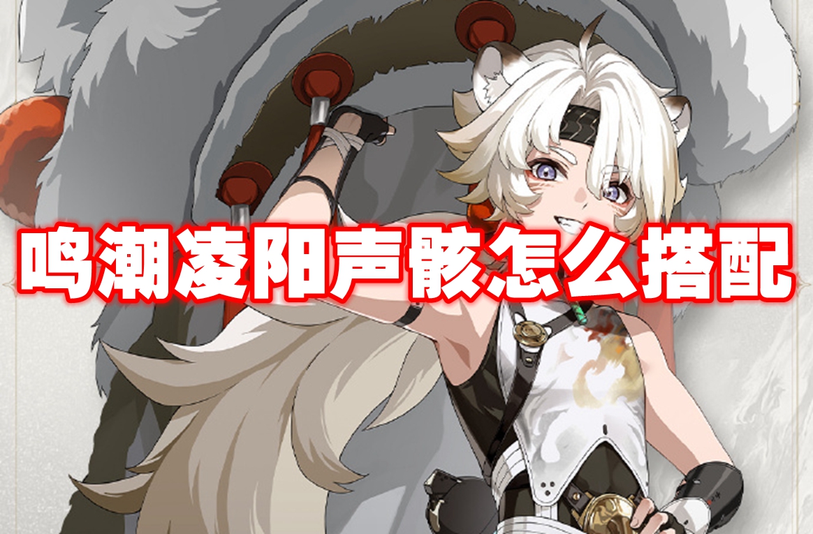 鸣潮凌阳声骸怎么搭配 鸣潮凌阳声骸搭配推荐插图 鸣潮凌阳声骸怎么搭配 鸣潮凌阳声骸搭配推荐