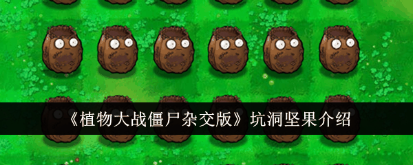 《植物大战僵尸杂交版》坑洞坚果介绍插图 《植物大战僵尸杂交版》坑洞坚果介绍