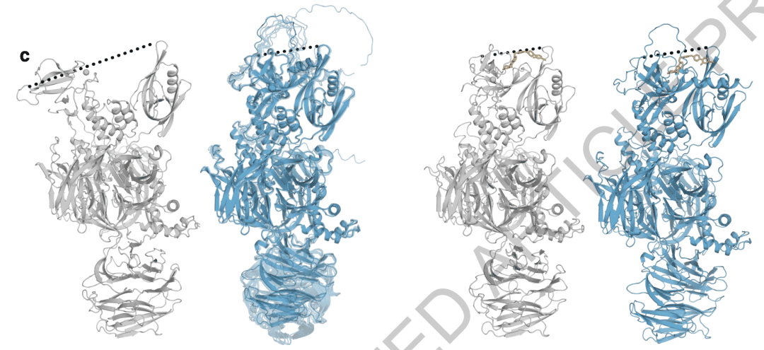 填补AlphaFold3空白,字节跳动提出物理引导的方法让蛋白质动起来插图 填补AlphaFold3空白,字节跳动提出物理引导的方法让蛋白质动起来