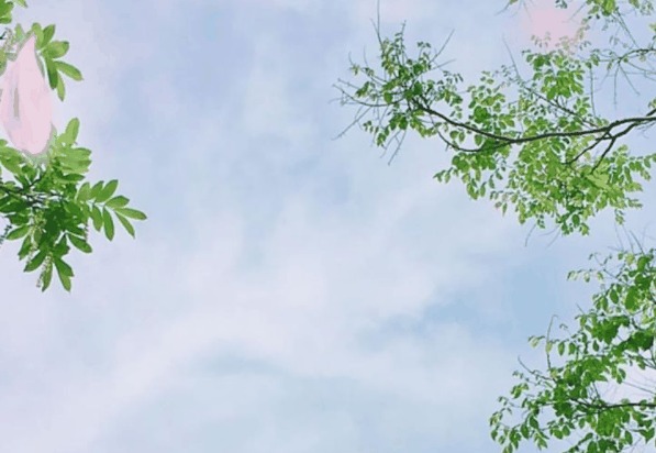 抖音2021最火的歌曲前十名插图 抖音2021最火的歌曲前十名