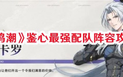 鸣潮鉴心最强配队阵容怎么搭配 鸣潮鉴心最强配队阵容攻略