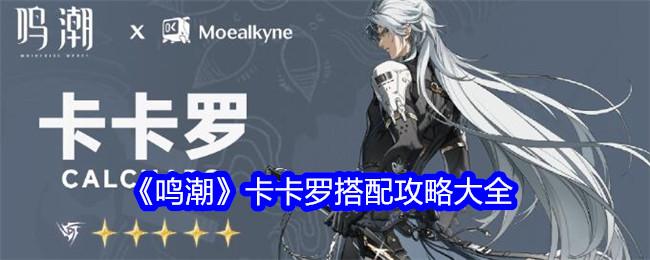 《鸣潮》卡卡罗搭配攻略大全插图 《鸣潮》卡卡罗搭配攻略大全