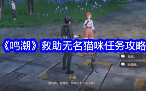 《鸣潮》救助无名猫咪任务攻略