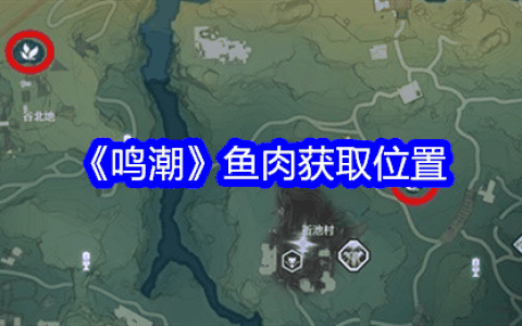 《鸣潮》鱼肉获取位置