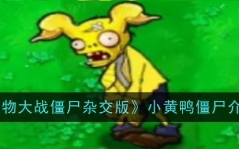 《植物大战僵尸杂交版》小黄鸭僵尸介绍