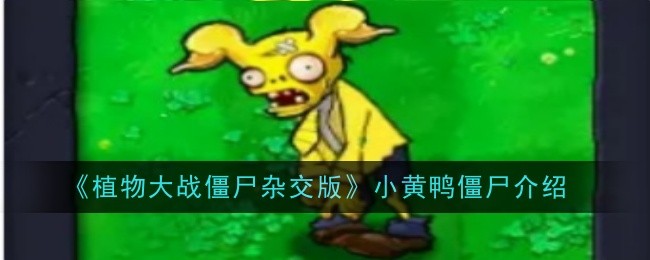 《植物大战僵尸杂交版》小黄鸭僵尸介绍插图 《植物大战僵尸杂交版》小黄鸭僵尸介绍