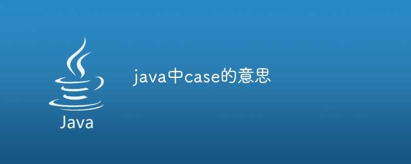 java中case的意思插图 java中case的意思