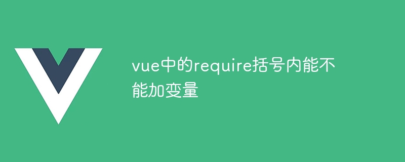 vue中的require括号内能不能加变量插图 vue中的require括号内能不能加变量