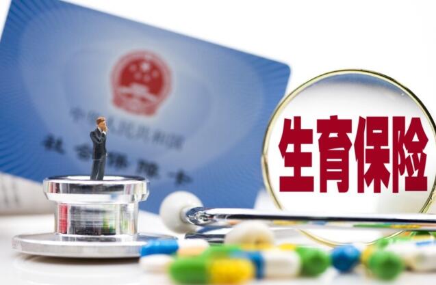 生育保险如何查询 查询方法一览插图 生育保险如何查询