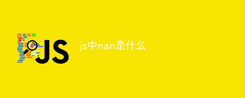 js中nan是什么插图 js中nan是什么