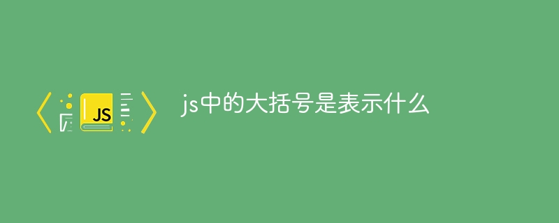 js中的大括号是表示什么插图 js中的大括号是表示什么