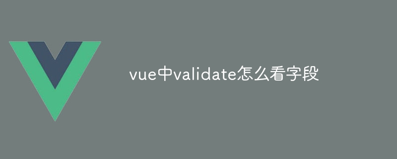 vue中validate怎么看字段
