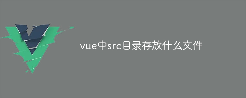 vue中src目录存放什么文件