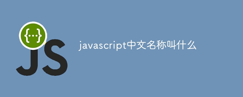 javascript中文名称叫什么插图 javascript中文名称叫什么