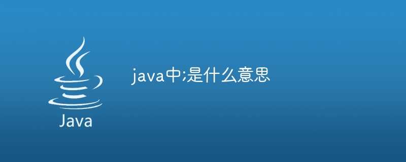 java中;是什么意思插图 java中;是什么意思