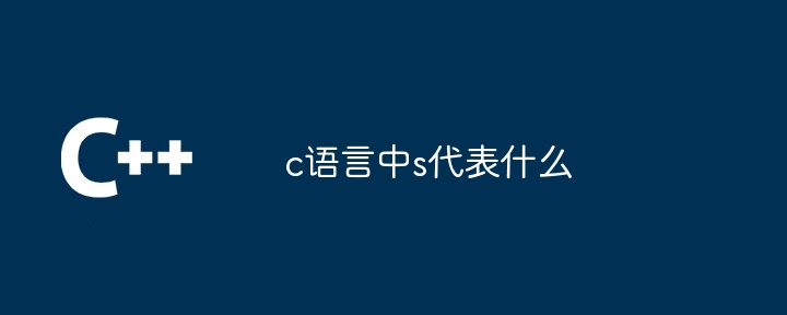 c语言中s代表什么