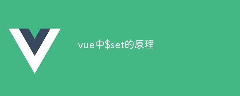 vue中$set的原理