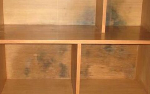 杭州姑娘清理发霉衣柜肺部长霉菌 搞卫生需做好防