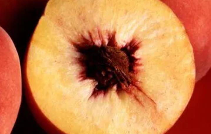 高速收费员称桃子未熟不能走绿通 司机无奈缴费